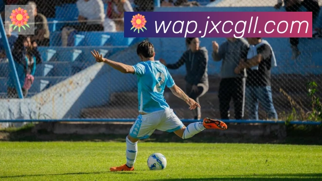 爱游戏官网荣誉